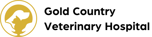 Gold Country Veterinary Hospital Home